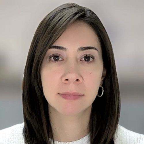 Dra. Ana Teresa Ochoa Guzmán